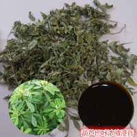 葫芦巴叶浸膏粉 葫芦巴叶浓缩浸膏现货 香豆子液提取液