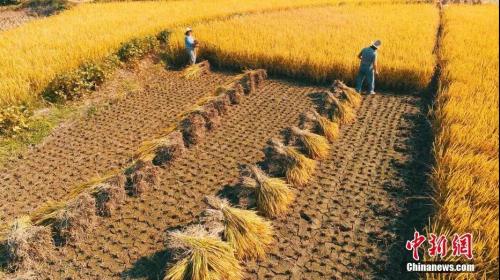资料图:邓和平 摄 点击进入下一页