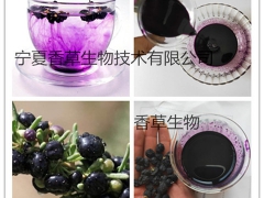 黑果枸杞提取物 黑枸杞多糖厂家 黑枸杞花青素25%图3