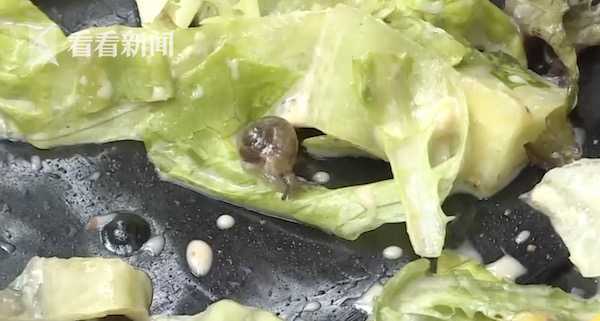 女子叫外卖点了份沙拉 吃完后竟爬出一只活蜗牛!