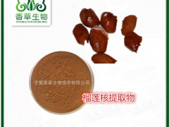 榴莲果粉 榴莲果浓缩汁粉 榴莲浓缩浸膏现货榴莲果肉膳食纤维粉图2