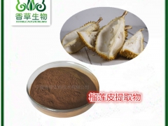 榴莲果粉 榴莲果浓缩汁粉 榴莲浓缩浸膏现货榴莲果肉膳食纤维粉图3
