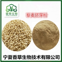 藜麦胚芽粉批发 藜麦胚芽提取物18:1白藜麦胚芽低温烘焙熟粉