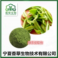 绿茶粉批发价格 绿茶提取物19:1  抹茶粉厂家直销