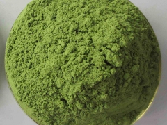 绿茶粉批发价格 绿茶提取物19:1  抹茶粉厂家直销图2