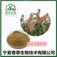 高粱花粉批发 高粱花提取物厂家 红高粱花超浓缩粉现货