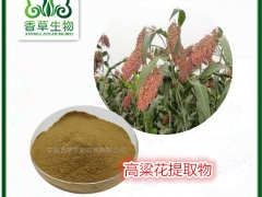 高粱胚芽粉厂家 红高粱胚芽提取物 白高粱胚芽粉批发图2