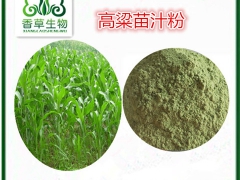 高粱苗粉厂家现货 红高粱青苗粉批发图1