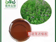 苜蓿种子提取物55:1  紫苜蓿籽粉批发图3