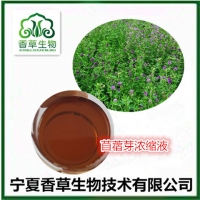 苜蓿苗汁粉 头茬苜蓿芽粉批发