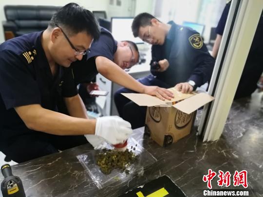 呼和浩特海关查获多起保健品夹藏大麻走私案均来自加拿大