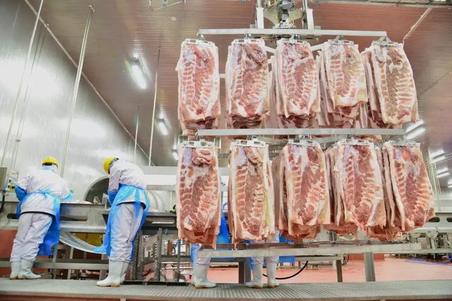 猪肉价格降了！又有1万吨国家存的猪肉即将投放