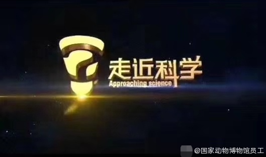 知情人士曝央视科教频道《走近科学》节目将停播