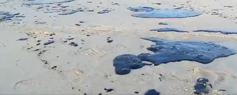 巴西东北部多地沙滩发现油污 已造成动物死亡