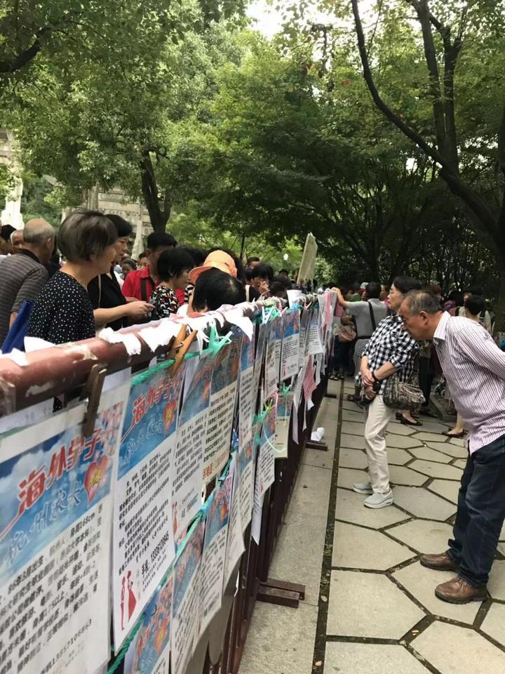 WechatIMG210.jpeg WechatIMG210.jpeg
