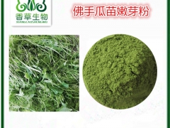 佛手提取物供应商 厂家批发五指香橼果粉 速溶粉图3
