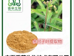 余甘子提取物20:1 望果粉厂家供应 余甘果浓缩汁图2
