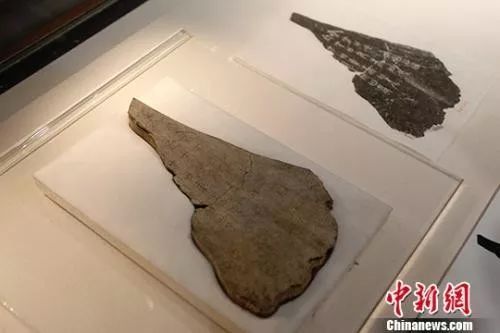 甲骨文发现120年:还有大半不认识 破译一字奖10万