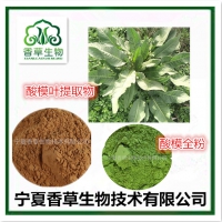 酸模叶粉 酸模提取物批发 皱叶酸模速溶粉厂家 酸不溜速溶粉
