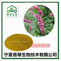 红辣蓼提取物 蓼子草粉批发 辣柳草全粉价格 红辣蓼浓缩浸膏