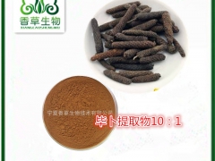 毕卜提取物 食品香料原料厂家 荜拨粉批发 毕卜醇提浸膏图1