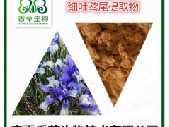 细叶鸢尾提取物厂家 丝瓜瓜超浓缩粉批发 细叶马蔺子粉图1
