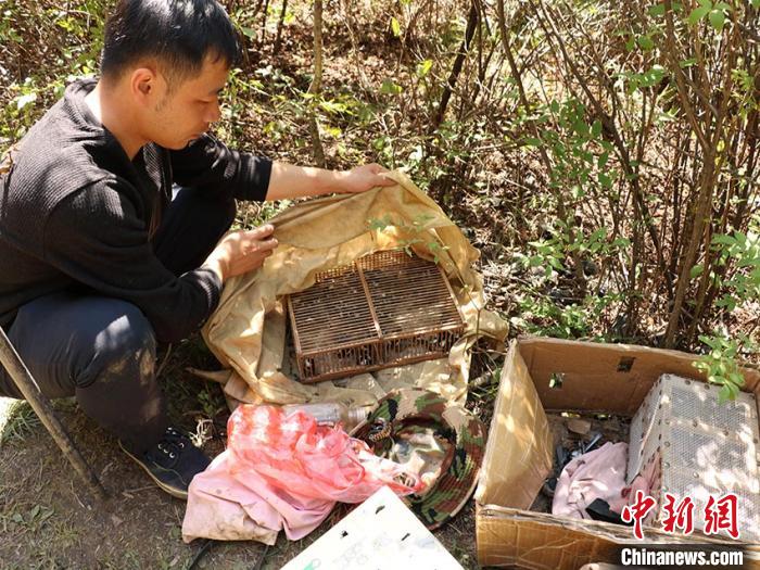 警方现场查获的部分活体鸟类。吉林省森林公安局供图