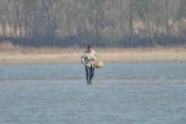 合肥“大水缸”发生毒杀水禽事件:嫌疑人被抓,水质检测正常