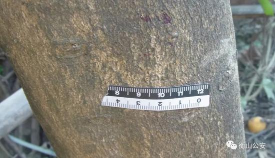 (民警在中心现场提取到血迹)