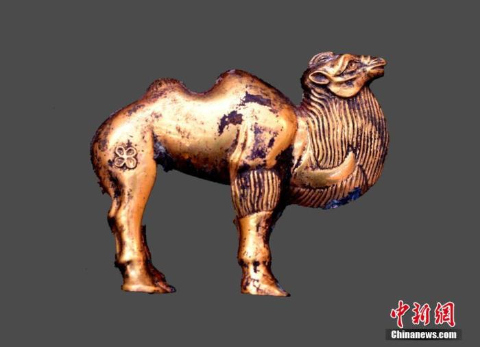 资料图：图为出土的金骆驼。秦始皇帝陵博物院 供图