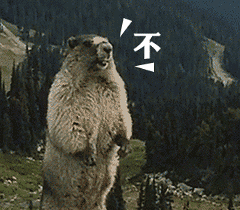 t01a1349607ae721a8f.gif?size=240<em></em>x210