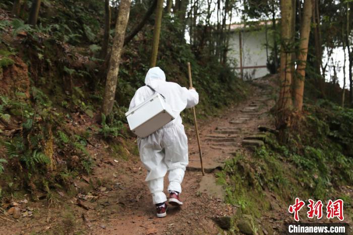 彭邦珍拄着拐杖行走在山路上。 张红 摄