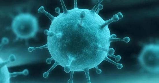 流感病毒（图片来源：墨尔本大学）