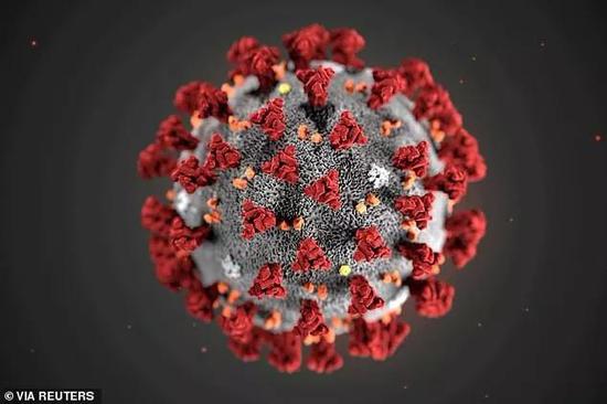  图片说明：Pictured， an illustration of the SARS-CoV-2 virus released by the US Centers for Disease Co<em></em>ntrol and Prevention