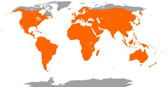 全球蝙蝠种类分布