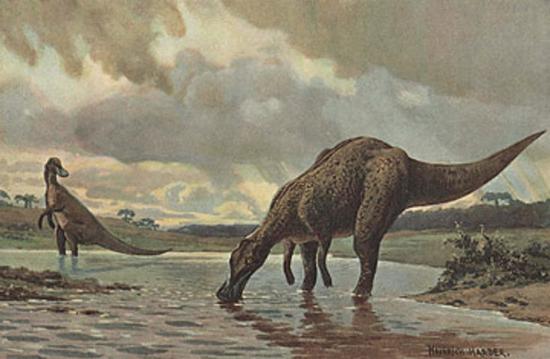 作为陆地生物，恐龙身体里的氧18同位素来源过于复杂并具有很强的环境依赖性。海拔、植被、距离海洋远近等因素都能影响氧18同位素的含量（图片来源：时代周刊）