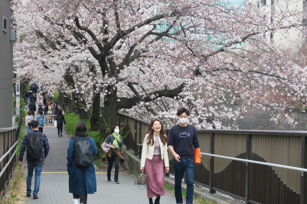 日本东京街头。新华社记者 姜俏梅 摄