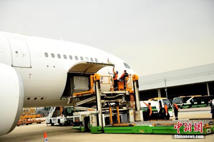 资料图：一架国际临时包机在广州白云国际机场货机坪“自提”22吨防疫物资后将飞往埃及开罗。中新社记者 姬东 摄