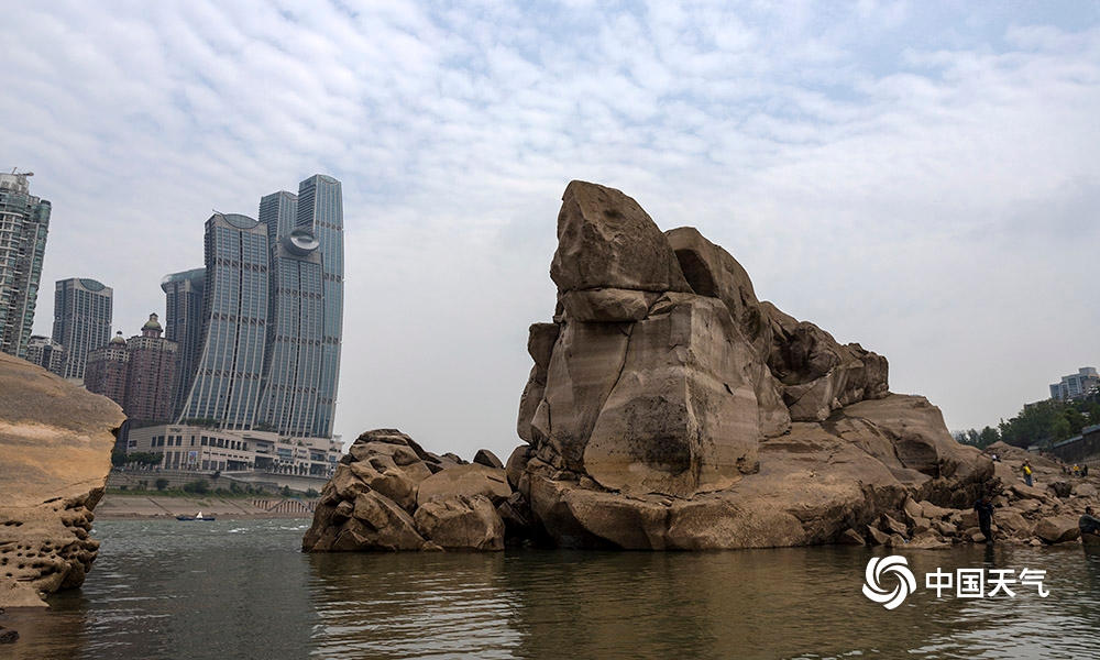 枯水期水位下降 重庆东水门大桥下神龟巨石现身