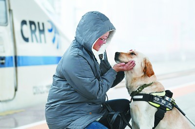 在陕西宝鸡南站，训导员带着导盲犬等待乘坐高铁。新华社发