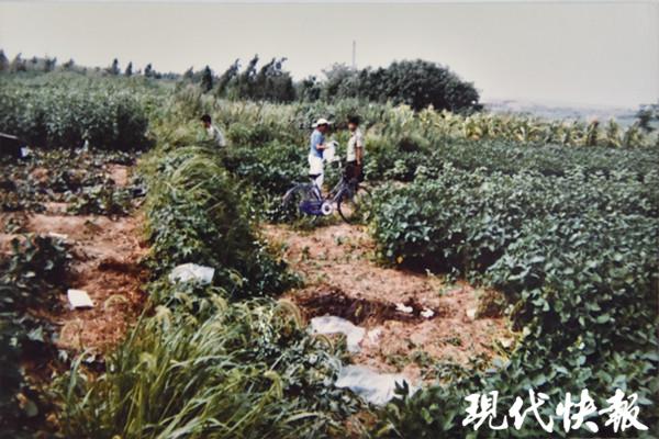 三兄弟24年前杀害少女 落网前还曾犯下6起强奸案