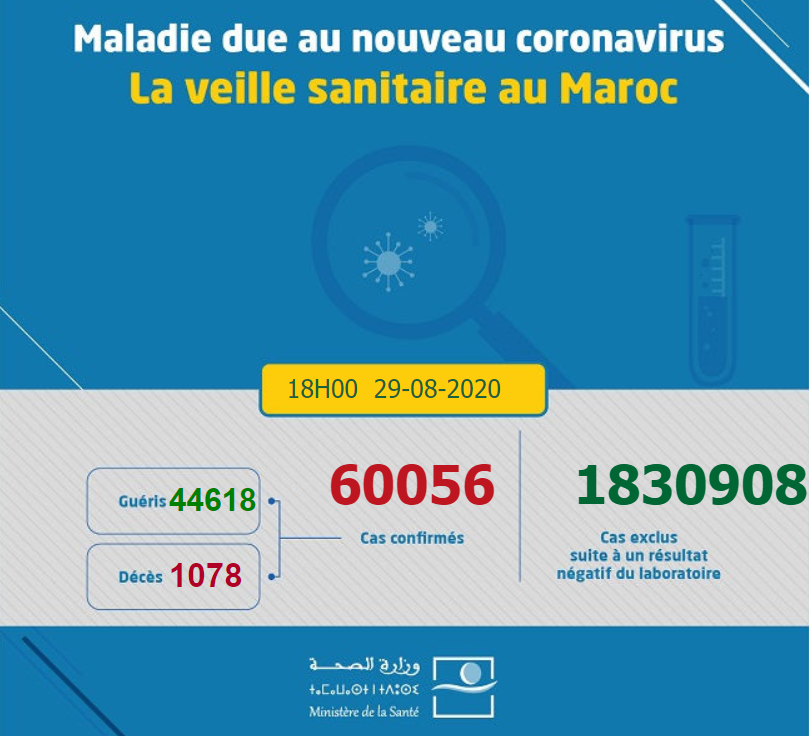 △摩洛哥卫生部发布疫情数据