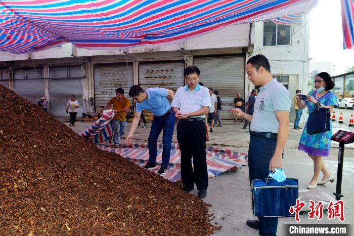 广西回应“硫磺八角”事件已查封141吨香料送检