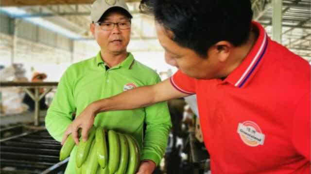 中国已是柬埔寨最大的外资来源国,2019年占其外国直接投资总额的43%。