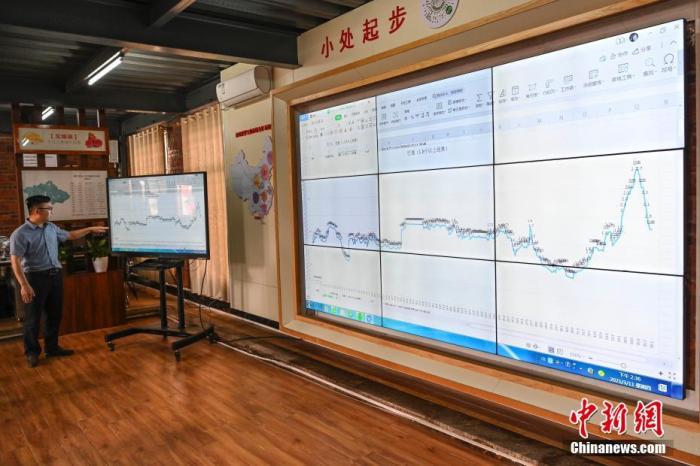 图为3月11日，中国菠萝电商产地直供基地作人员向中新社记者展示徐闻菠萝大数据系统。
中新社记者 陈骥旻 摄