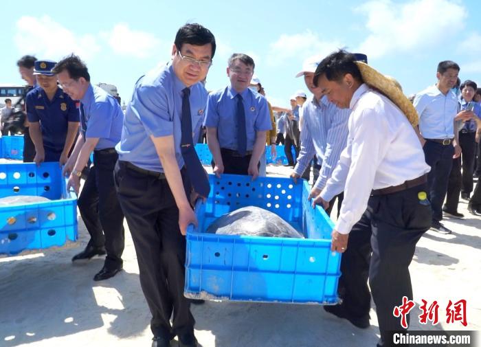 海龟归海！最高检称绝不放纵破坏资源环境非法行为