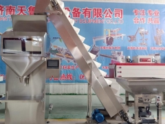 半自动颗粒灌装机 济南天鲁玉米大米灌装机图3
