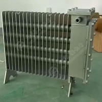 RB-2000/127(A)煤矿用隔爆兼增安型电热取暖器