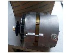 600-821-9631/600-821-9962/4096532小松泽腾发电机图3