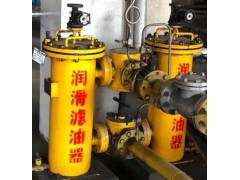 双筒过滤器21FH1330-16.15-10不锈钢滤网图2